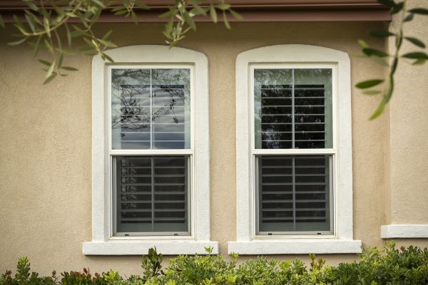 Single Hung Window Replacement in Windsor